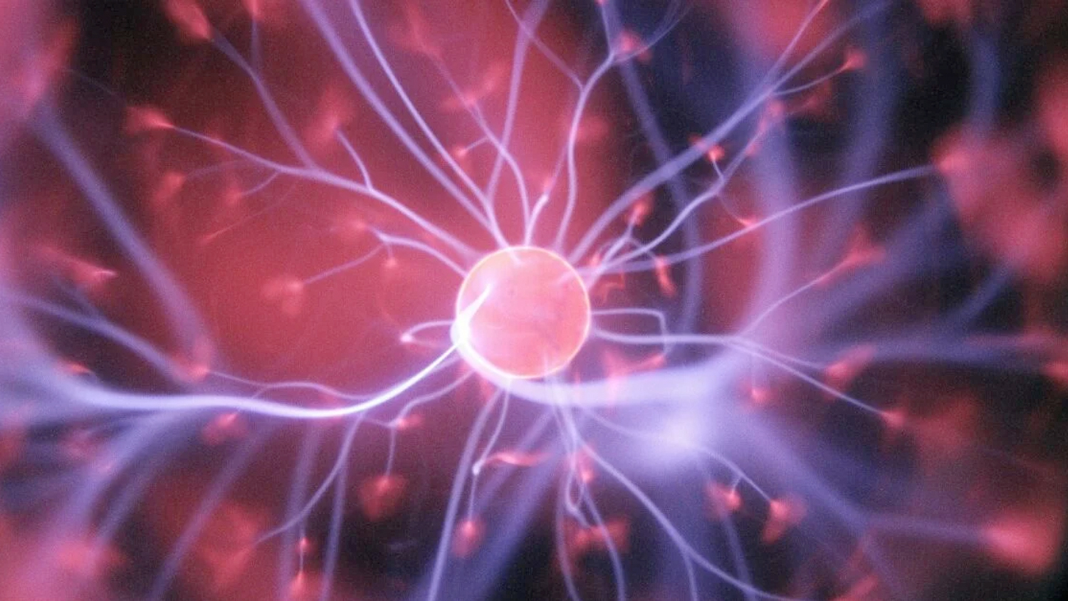 images/inthenews/labiotech 25Nov25-banner.jpg